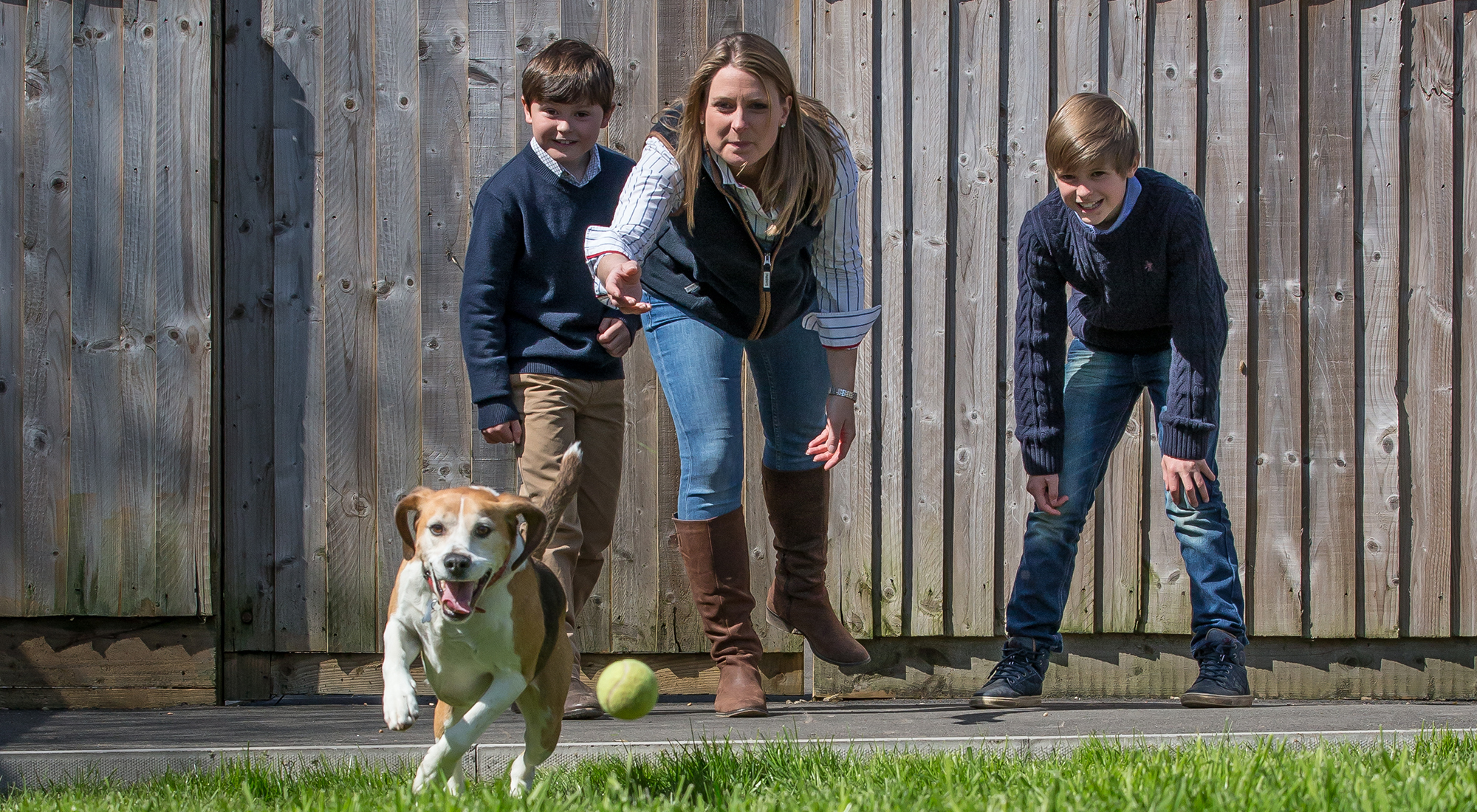 Welcome to Ledbury Lodge Kennels - A Family Home-from-Home Kennels