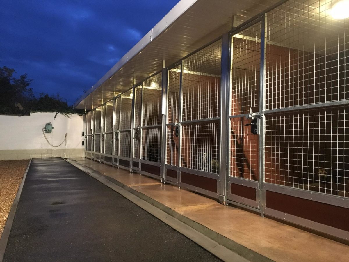 The Story Behind Ledbury Lodge Kennels Ledbury Lodge Kennels